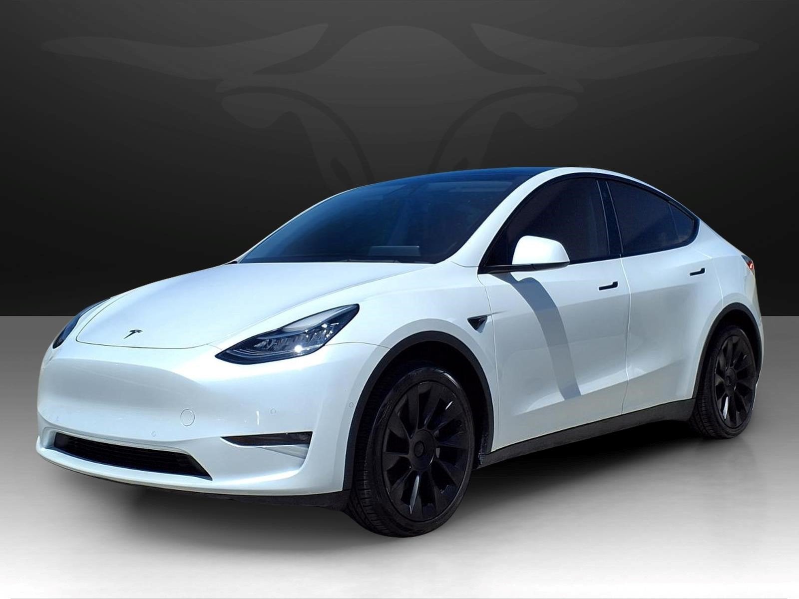 2021 Tesla Model Y Long Range in Other — front three-quarter view