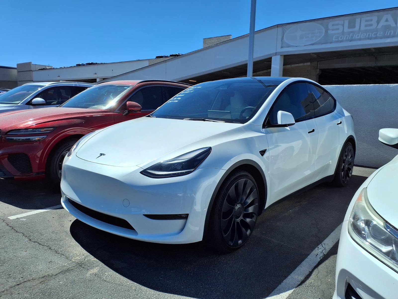 2023 Tesla Model Y Performance in Other — front three-quarter view